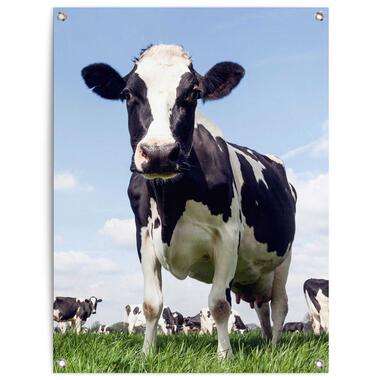 Tuinposter - Dutch Cow - 80x60 cm Canvas product