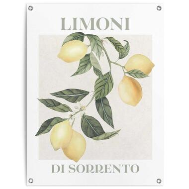 Tuinposter - Limoni - 80x60 cm Canvas product