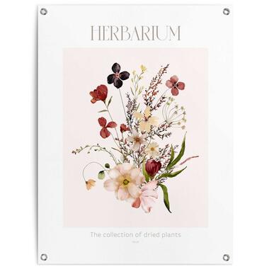 Tuinposter - Herbarium - 80x60 cm Canvas product