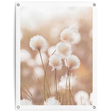 Tuinposter - Cotton Field - 80x60 cm Canvas product