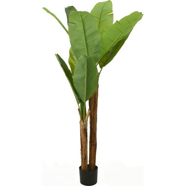 Bellatio flowers & plants Kunst bananenplant - 160 cm - bananenboom product