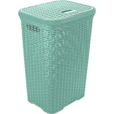 Hega Hogar Wasmand met deksel Rotan - mintgroen - 60 Liter product