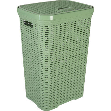 Hega Hogar Wasmand met deksel Rotan - groen - 60 Liter product