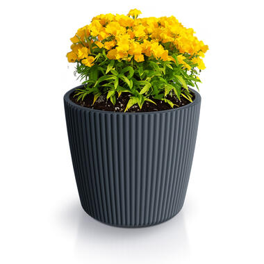 Prosperplast Plantenpot Buckingham - antraciet - D17 cm product