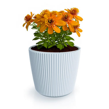 Prosperplast Plantenpot Buckingham - lichtgrijs - D29 cm product