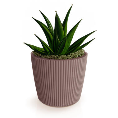 Prosperplast Plantenpot Buckingham - terra bruin - D17 cm product