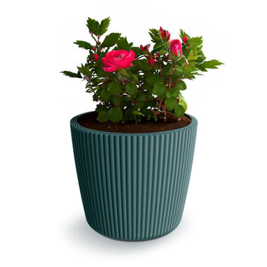 Prosperplast Plantenpot Buckingham - zeeblauw - D19 cm product