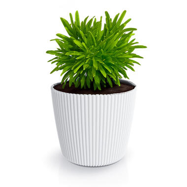 Prosperplast Plantenpot Buckingham - ivoor wit - D17 cm product