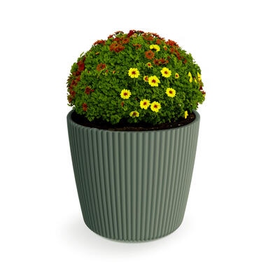 Prosperplast Plantenpot Buckingham - dennen groen - D23 cm product