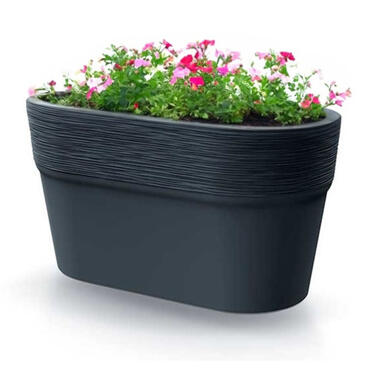 Prosperplast Plantenpot Windsor - antraciet - L28 x B15 x H15 cm product