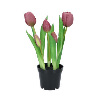 DK Design Kunst tulpen in pot - Holland - 5x stuks - aubergine paars - 26 cm product