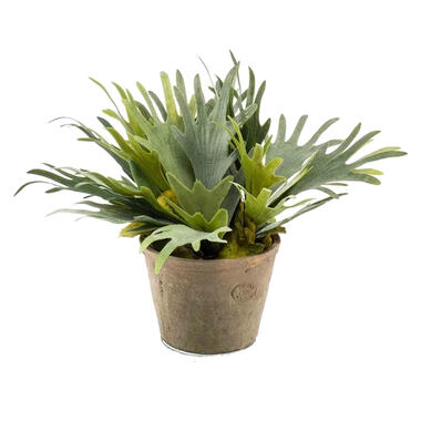 Emerald Kunstplant Staghorn varen - groen - in betonlook pot - 38 cm product