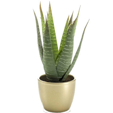 Emerald Kunstplant Aloe Vera - groen - in gouden pot - 23 cm product