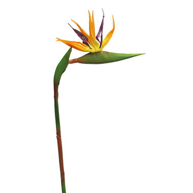 Bellatio Design Kunstbloem Strelitzia - 58 cm - tak - Paradijsvogelplant product