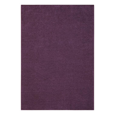 Carpet Studio Ohio Vloerkleed - Paars - 160x230cm product