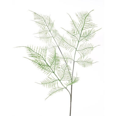 Bellatio Design Kunstbloem Asparagus - 80 cm - losse tak product