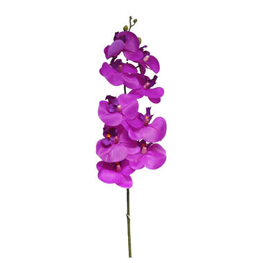 Bellatio Design Kunstbloem Orchidee Bora - fuchsia - 108 cm product