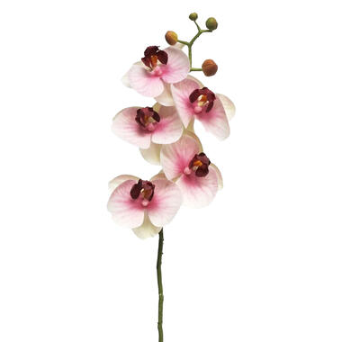 Bellatio Design Kunstbloem Orchidee Bora - roze - 58 cm - kunst product