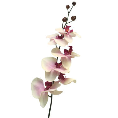 Bellatio Design Kunstbloem Orchidee Milan - wit/roze - 78 cm product