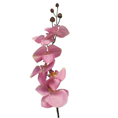 Bellatio Design Kunstbloem Orchidee Milan - roze - 78 cm - kunst product