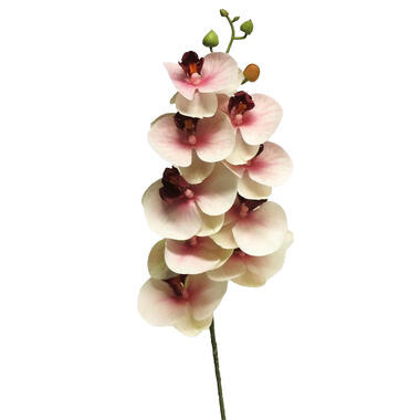 Bellatio Design Kunstbloem Orchidee - roze - 77 cm - kunstzijde product