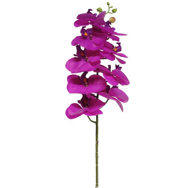 Bellatio Design Kunstbloem Orchidee - fuchsia - 77cm- kunst zijde product