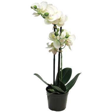 Bellatio Design Kunstplant Orchidee - bloemen in het wit - 50 cm product