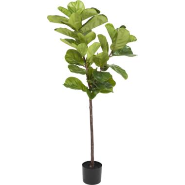 Hoyz Greenery - Kunstplant Ficus Tabaksplant 150 cm product