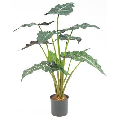 Hoyz Greenery - Kunstplant Alocasia 67 cm product