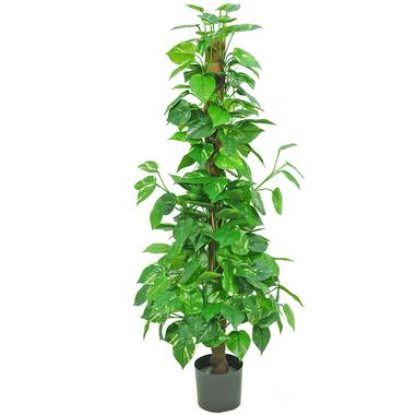 Hoyz Greenery - Kunstplant Pothos 150 cm product