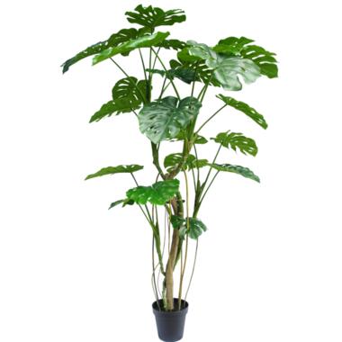 Hoyz Greenery - Kunstplant Monstera 210 cm product