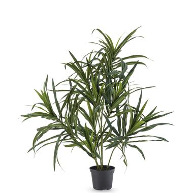 Hoyz Greenery - Kunstplant Dracaena Reflexa in pot 63 cm product