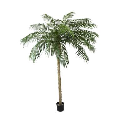 Hoyz Greenery - Kunstpalm Phoenix De Luxe 250 cm product