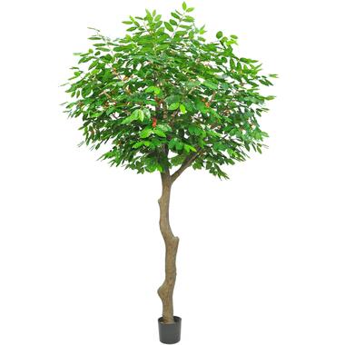 Hoyz Greenery - Kunst Koffieboom 300 cm product