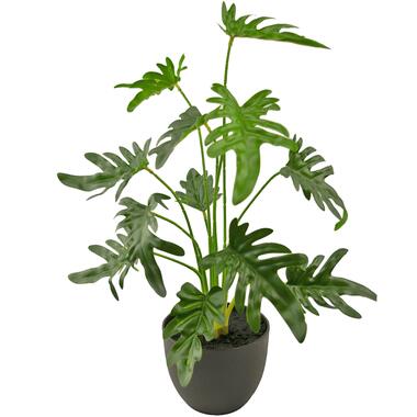 Hoyz Greenery - Kunst Philodendron 49 cm product