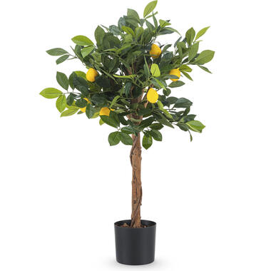 Hoyz Greenery - Kunstplant citroenboom 75 cm product