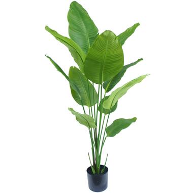 Hoyz Greenery - Kunstplant Strelitzia 150 cm product