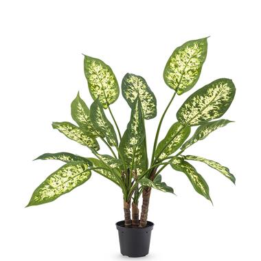 Hoyz Greenery - Kunstplant Dieffenbachia 40 cm product