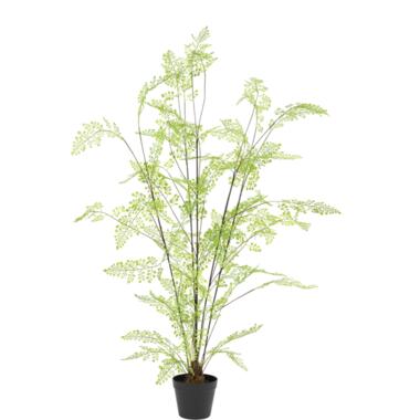 Hoyz Greenery - Kunst varen plant 120 cm product