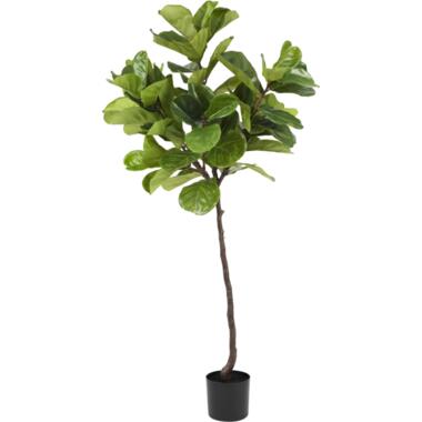 Hoyz Greenery - Kunstplant Ficus Tabaksplant 180 cm product