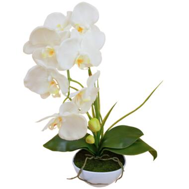 Hoyz Greenery - Kunst Orchidee 50 cm wit in pot product