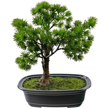 Hoyz Greenery - Kunstplant Bonsai Juniper 20 cm product