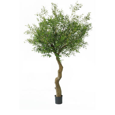 Hoyz Greenery - Kunst Olijfboom 270 cm zonder olijven product