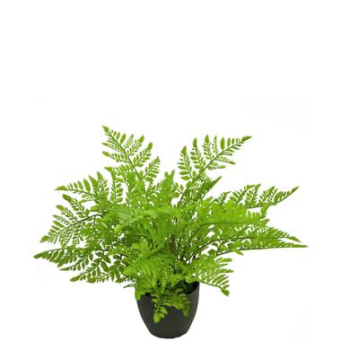 Hoyz Greenery - Kunst varen 35 cm in sierpot zwart product