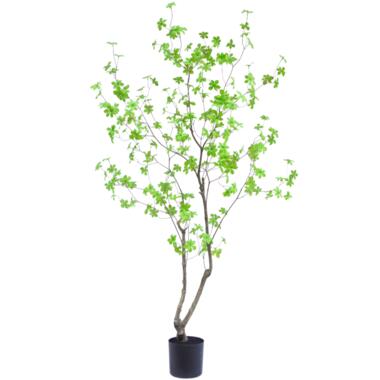 Hoyz Greenery - Kunstplant Enkianthus 180 cm product