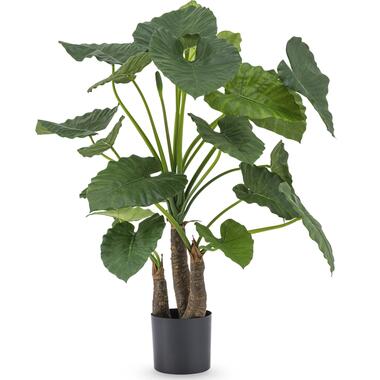 Hoyz Greenery - Kunstplant Alocasia 120 cm product