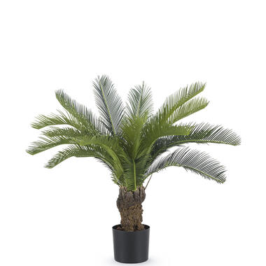 Hoyz Greenery - Kunstplant Cycaspalm 80 cm product