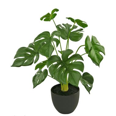 Hoyz Greenery - Kunst Monstera 51 cm in sierpot zwart product