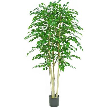 Hoyz Greenery - Kunstplant Ruwe Berk 210 cm product