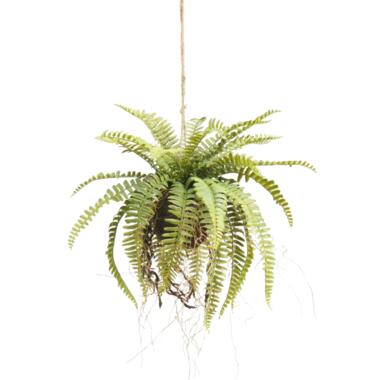 Hoyz Greenery - Kunst hangplant Varen op bal 76 cm product